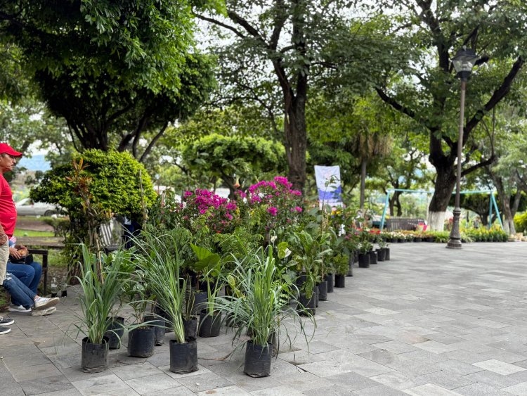 Encuentro de Viveristas Indígenas en Jiutepec