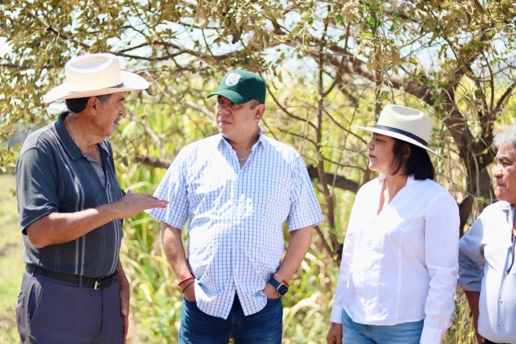 Alertan a los campesinos por  menos agua con la canícula
