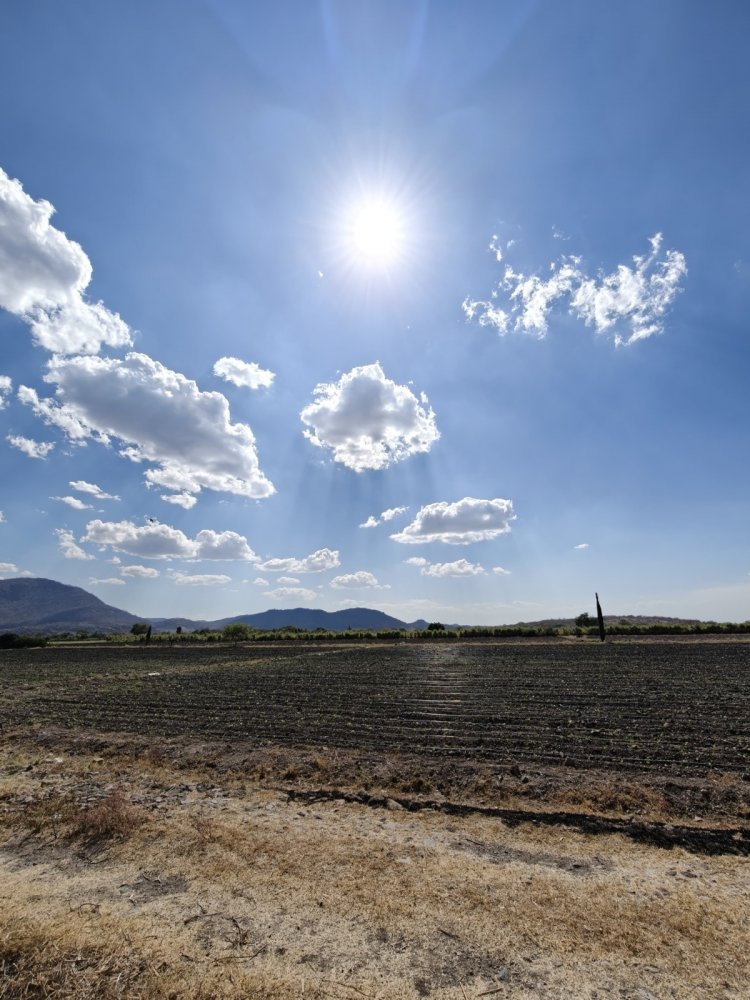 Alertan a los campesinos por  menos agua con la canícula