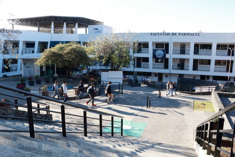 Lanzan un curso gratuito sobre  interacciones farmacológicas