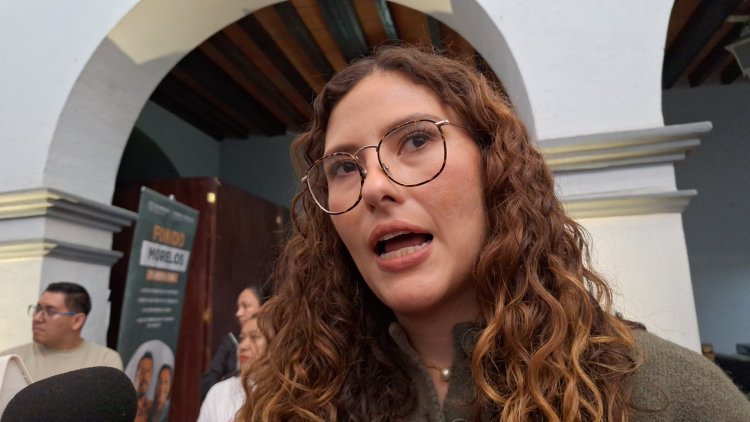 Por "errores" se detuvo programa Viaja Segura
