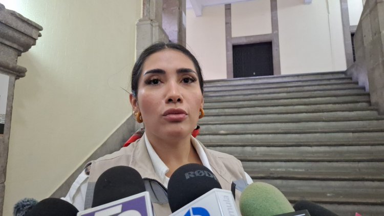 Los egresados universitarios buscan copiosamente empleo