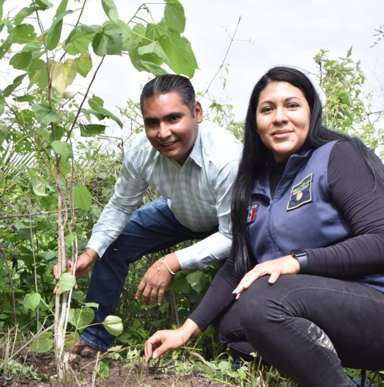 Jornada de reforestación en Emiliano  Zapata Vs. Violencia y por integración