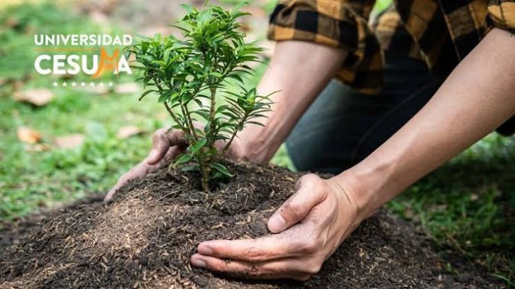 Jornada de reforestación en Emiliano  Zapata Vs. Violencia y por integración