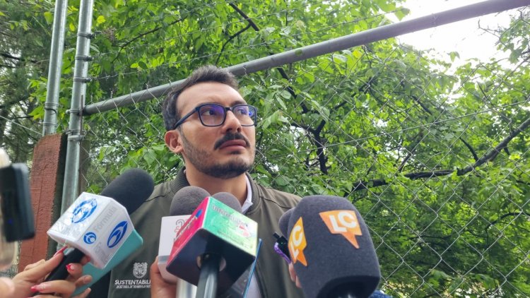 Aseguran que gatos no son sacrificados en Chapultepec