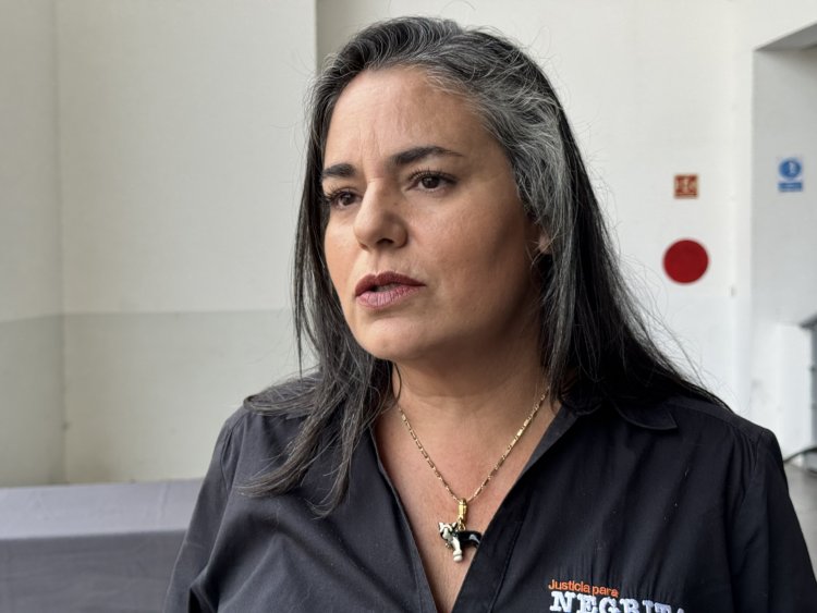 Colectivo va por prohibir al asesino de perrita que pueda volver a adoptar