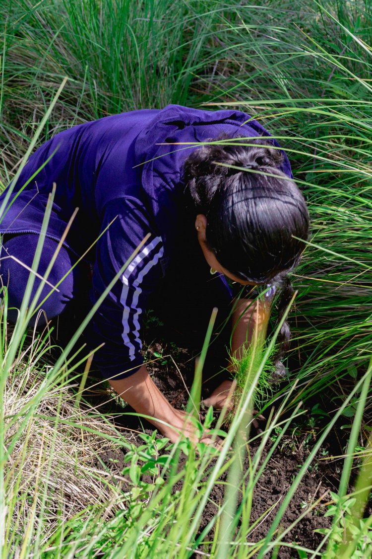 Sugiere investigador de UAEM  cambiar a restauración forestal