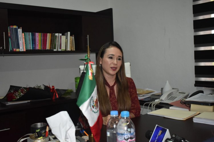 Fuerza TEE a diputados a una elección para el TUJA