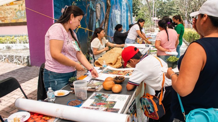 Llevan también a Xoxocotla el curso de verano científico