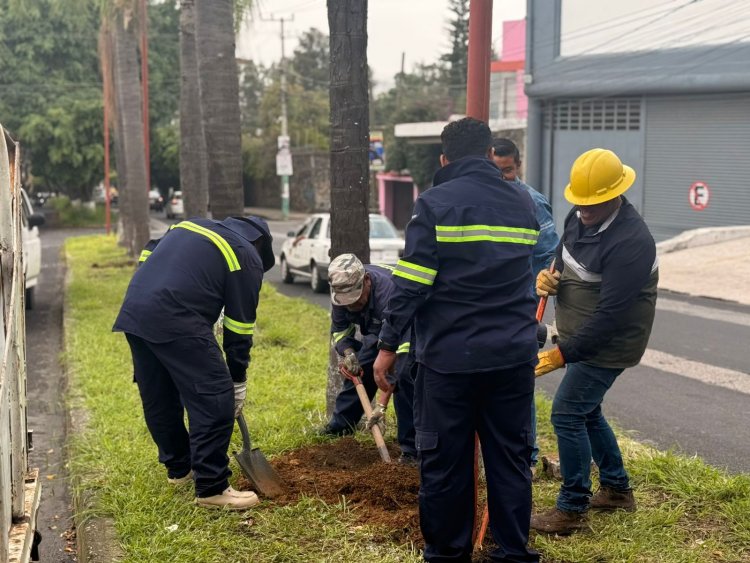Nuevas luminarias en Av.  V. Guerrero de Cuernavaca