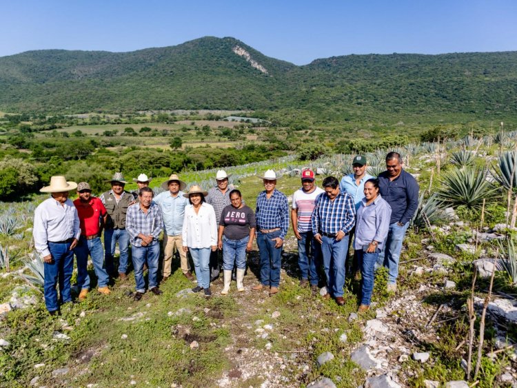 Se reconoció a los productores de  mezcal por denominación de origen