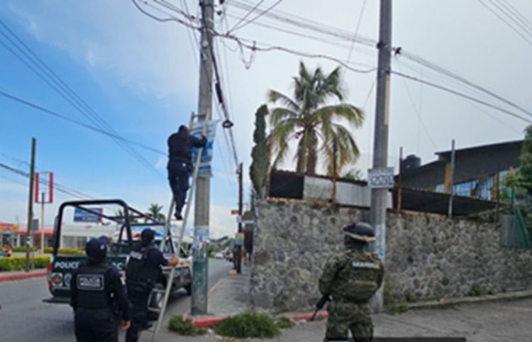 Golpe a grupos delictivos con  desinstalación de 93 cámaras