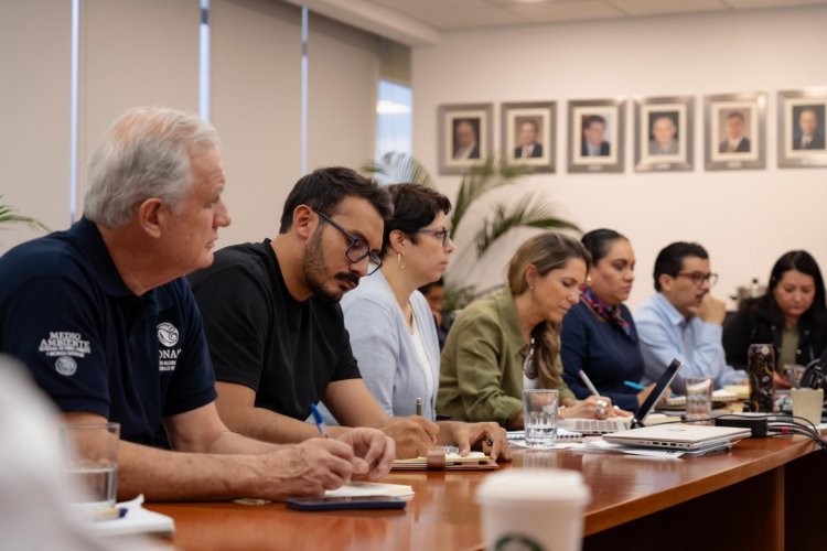 Ya hay nuevo diagnóstico   sobre el bosque de agua