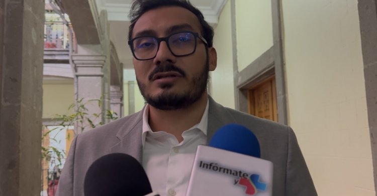 Va en picada producción de miel en Morelos, advierten