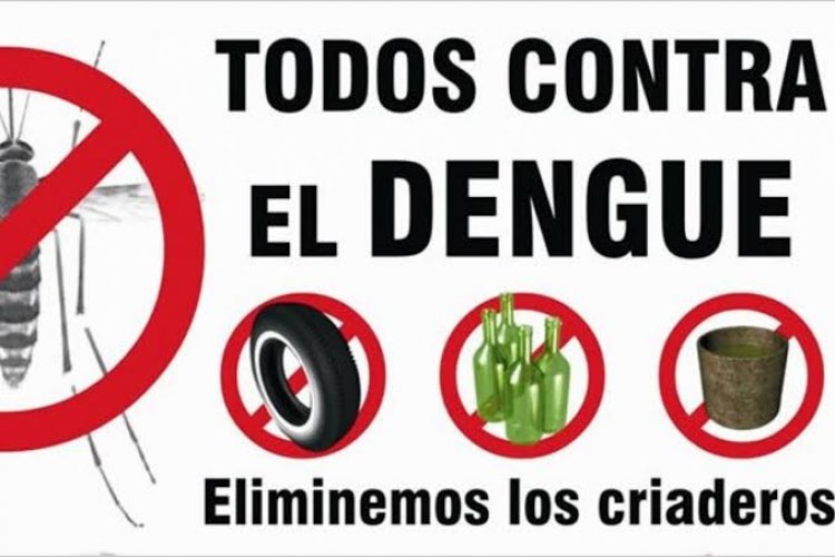 Se insiste en medidas para evitar  el dengue en la actual temporada