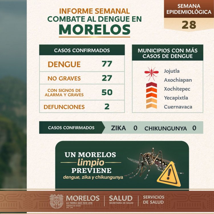 Se insiste en medidas para evitar  el dengue en la actual temporada