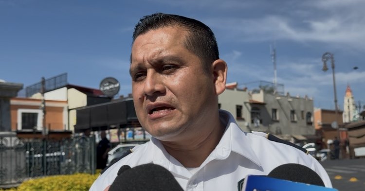Riesgos por enjambres de abejas en espacios públicos
