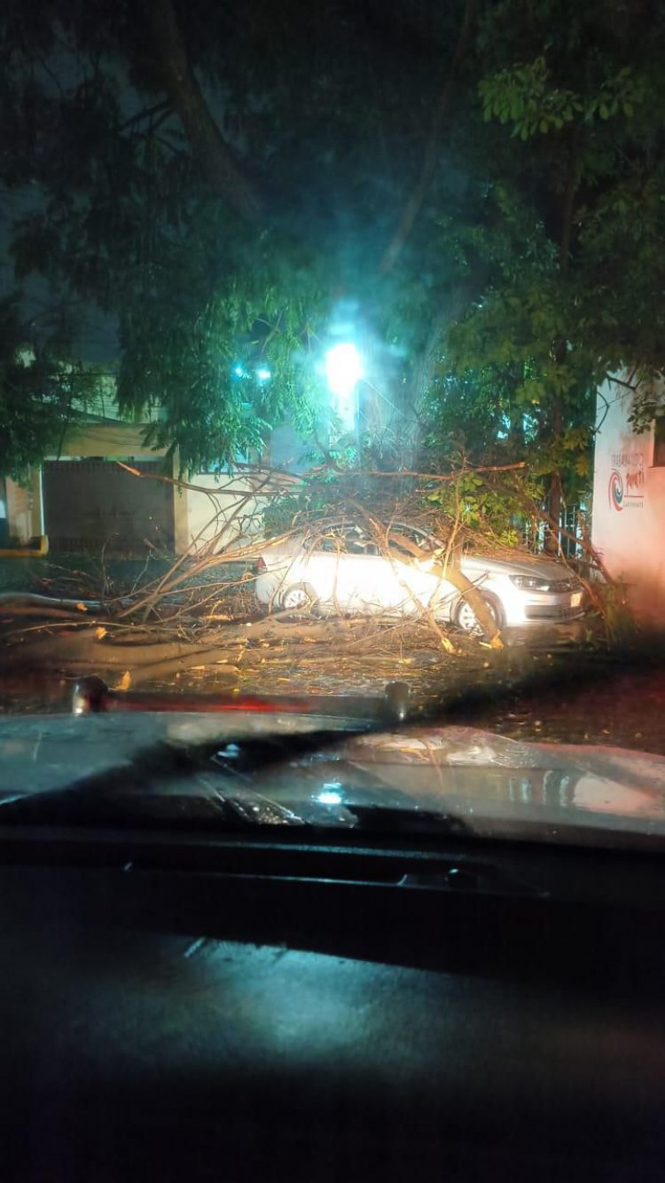 Muchos estragos ocasionaron las  lluvias del miércoles en la capital