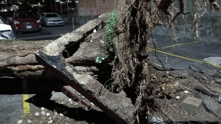 Muchos estragos ocasionaron las  lluvias del miércoles en la capital