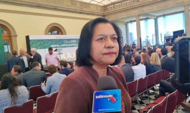 No hay cultivos de maíz transgénico, se asegura