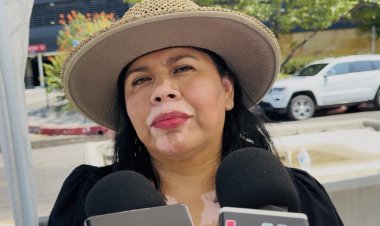 Llueven denuncias por tala ilegal y podas en la capital