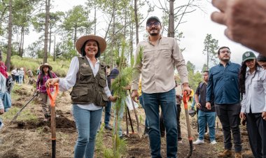 Realizan reforestación en favor del bosque de agua