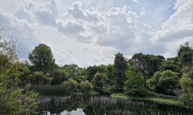 Trabajan investigadores para  proteger Laguna de Hueyapan