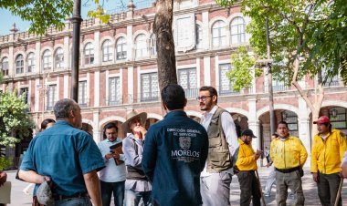 Se inician trabajos de revitalización del  arbolado en la Plaza de Armas capitalina