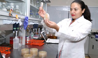 Proyectos de investigación de la  UAEM reciben apoyo de la Secihti