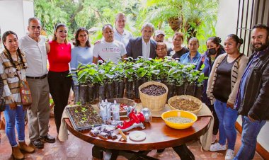 Cuernavaca se posiciona como una urbe cafetalera