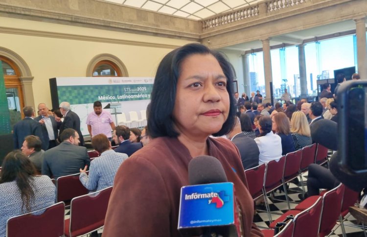 No hay cultivos de maíz transgénico, se asegura
