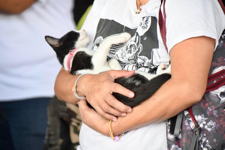 Éxito, en la Jornada de Esterilización en Tejalpa