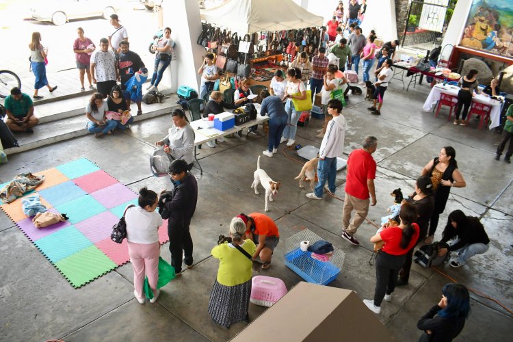 Éxito, en la Jornada de Esterilización en Tejalpa