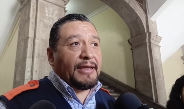 Colapsaron árboles  por recientes lluvias