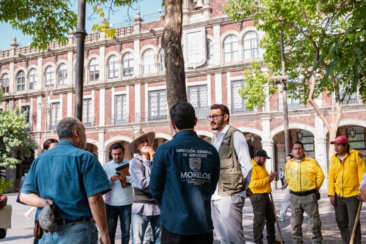Se inician trabajos de revitalización del  arbolado en la Plaza de Armas capitalina