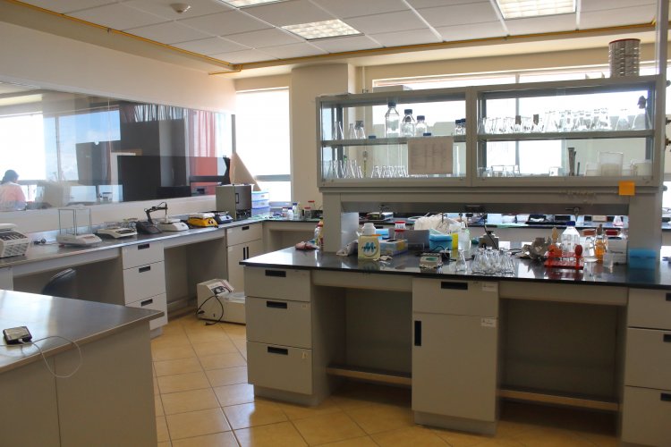 Proyectos de investigación de la  UAEM reciben apoyo de la Secihti