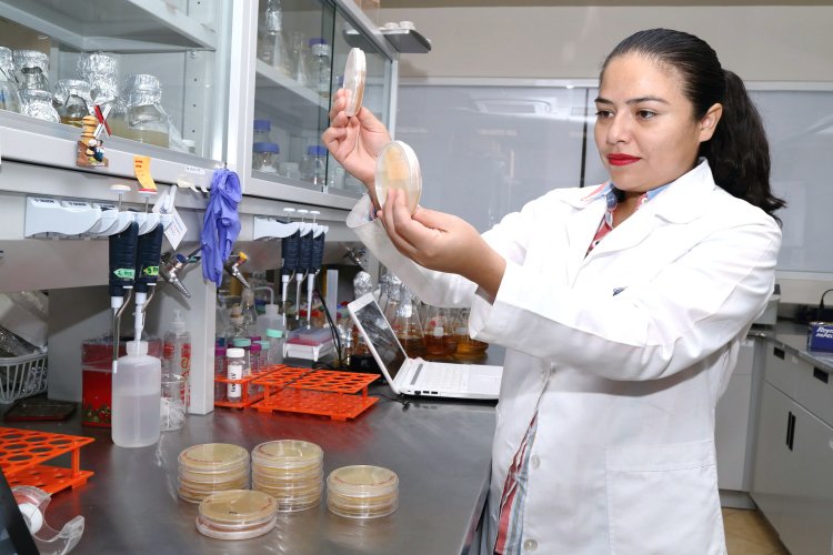 Proyectos de investigación de la  UAEM reciben apoyo de la Secihti