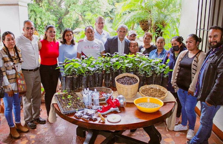 Cuernavaca se posiciona como una urbe cafetalera