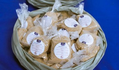 En Cuernavaca, se combate dengue  y otros males con entrega de abate