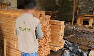 Desmanteló un aserradero ilegal en Huitzilac Profepa