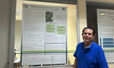 Trabajan con IA para hallar enfermedades en plantas