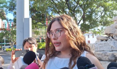 Autoridad estatal, contra  la maternidad subrogada