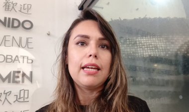 Distribuidores de autos,  dañados por caso Nissan