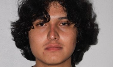 El Senado como síntoma: la degradación de la política mexicana