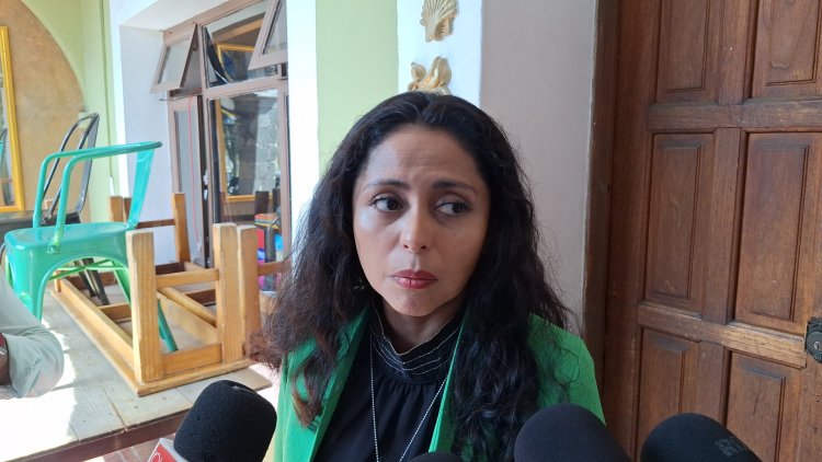 Ya suman 75 feminicidios en este año: Divulvadoras