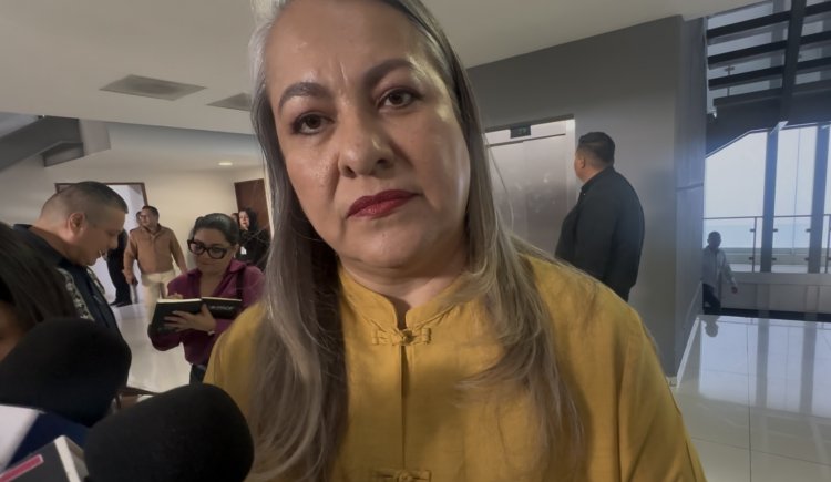 Deben brindar apoyo a las familias migrantes: CDHM
