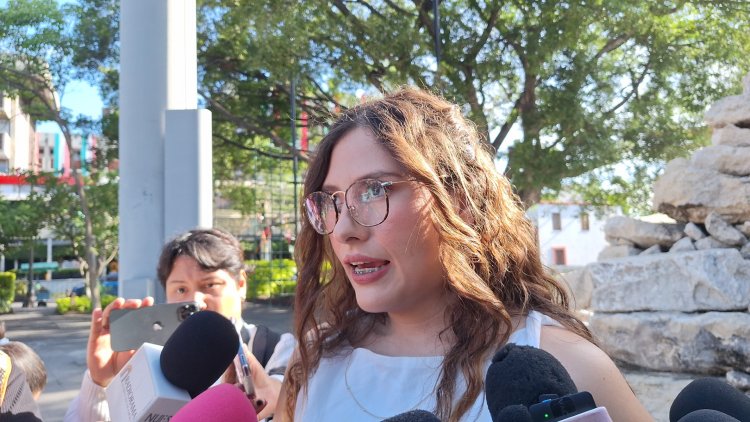 Autoridad estatal, contra la maternidad subrogada