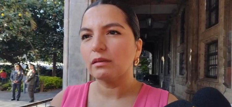 En maternidad subrogada, analizan diputados legislar