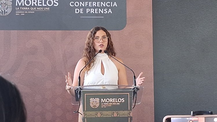 Irregularidades, en el extinto Inst. de Mujer