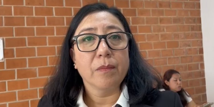 Titular del TUJPA critica elección pero lo acatará